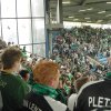 KIF_1133_1
